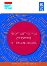 Report on the living conditions of Roma in Slovakia