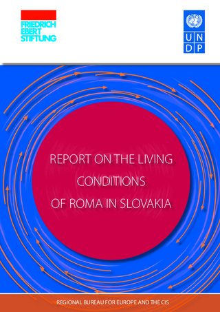 Report on the living conditions of Roma in Slovakia